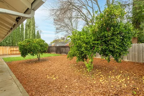 113 Almeria, Winters, CA 95694 photo 39