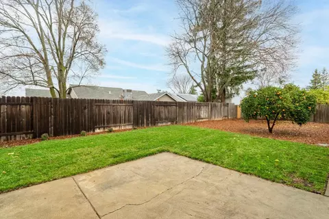 113 Almeria, Winters, CA 95694 photo 34