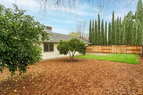 113 Almeria, Winters, CA 95694 photo 37