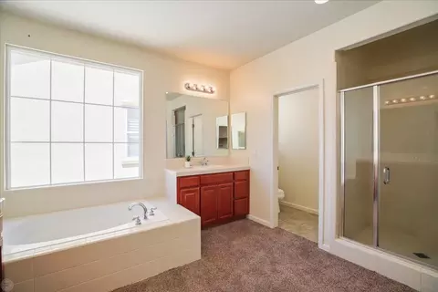 512 New Well Ave, Lathrop, CA 95330 photo 36