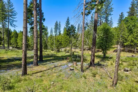 18500 Pine Tree Way, Mountain Ranch, CA 95246 photo 38