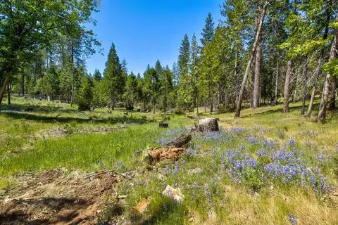 18500 Pine Tree Way, Mountain Ranch, CA 95246 photo 40