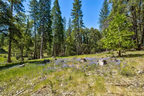 18500 Pine Tree Way, Mountain Ranch, CA 95246 photo 39
