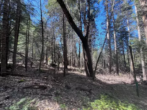 644 Arnold Byway, Arnold, CA 95223 photo 2