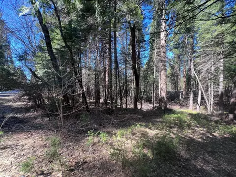 644 Arnold Byway, Arnold, CA 95223 photo 1