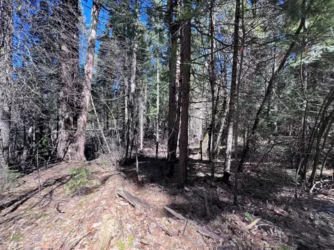 644 Arnold Byway, Arnold, CA 95223 photo 8