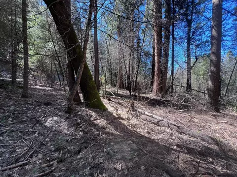 644 Arnold Byway, Arnold, CA 95223 photo 3