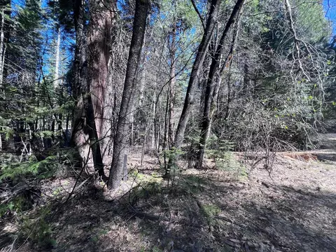 644 Arnold Byway, Arnold, CA 95223 photo 7