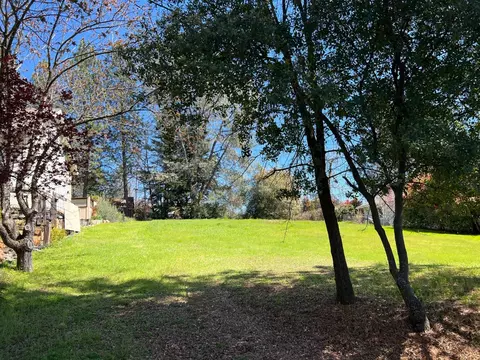 338 Wyldewood Dr, Murphys, CA 95247 photo 10