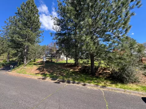 338 Wyldewood Dr, Murphys, CA 95247 photo 12