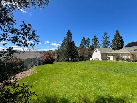 338 Wyldewood Dr, Murphys, CA 95247 photo 4