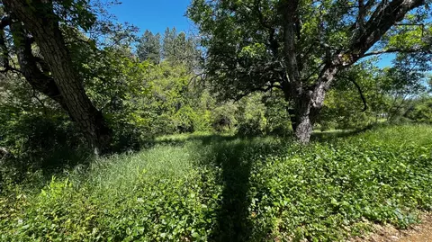 219 Smith Ln, West Point, CA 95255 photo 3