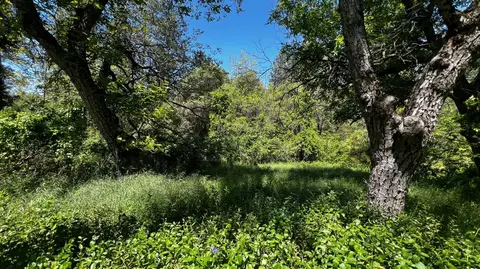 219 Smith Ln, West Point, CA 95255 photo 2