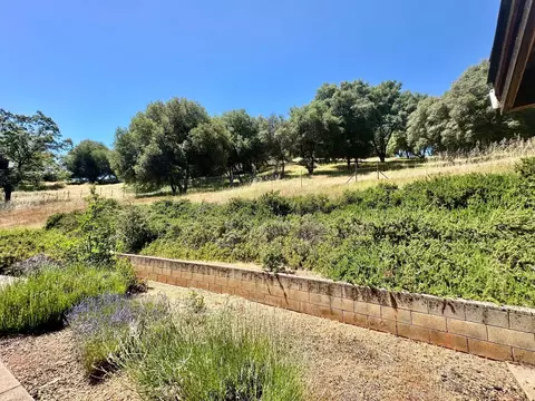 6783 Michel Rd, Mountain Ranch, CA 95246 photo 37