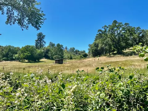 6783 Michel Rd, Mountain Ranch, CA 95246 photo 39