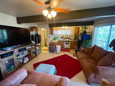 533 Larkspur Ct, Murphys, CA 95247 photo 39