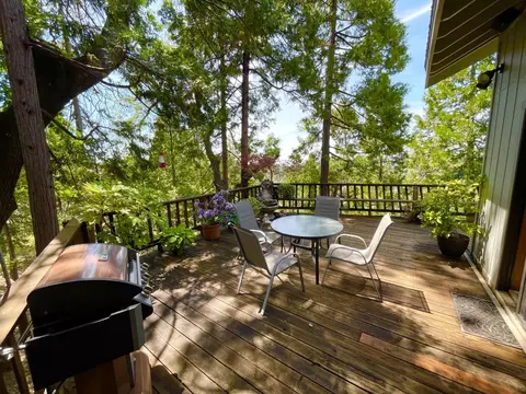 533 Larkspur Ct, Murphys, CA 95247 photo 11