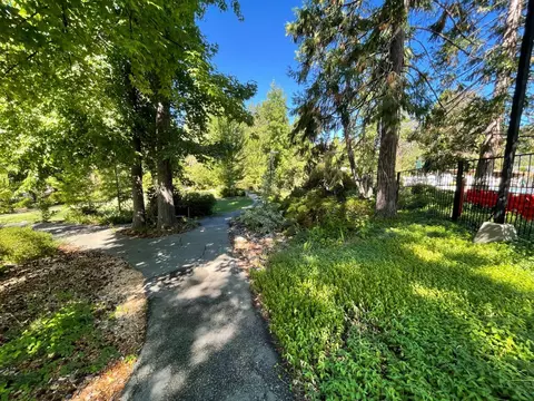 533 Larkspur Ct, Murphys, CA 95247 photo 55