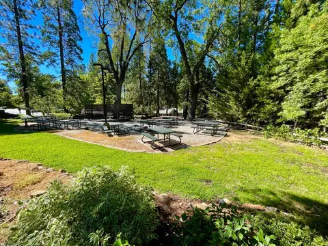 533 Larkspur Ct, Murphys, CA 95247 photo 56