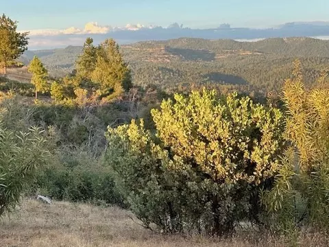 10264 Ham Luddy Rd, Mountain Ranch, CA 95246 photo 4