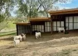 3559 Stagecoach, Copperopolis, CA 95228 photo 33