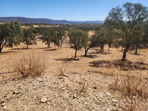 3559 Stagecoach, Copperopolis, CA 95228 photo 25