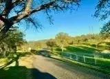 3559 Stagecoach, Copperopolis, CA 95228 photo 31