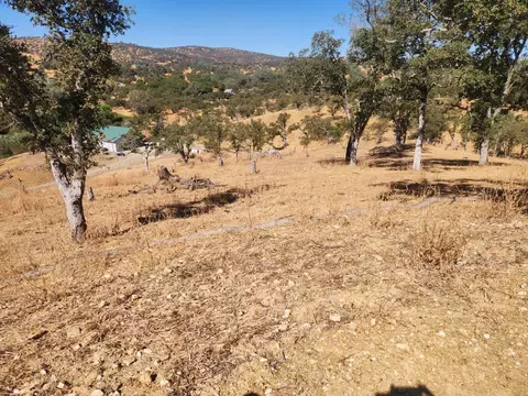 3559 Stagecoach, Copperopolis, CA 95228 photo 26