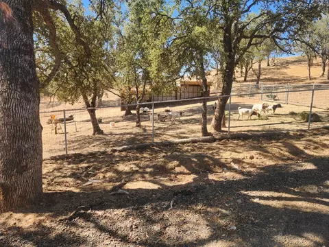 3559 Stagecoach, Copperopolis, CA 95228 photo 9