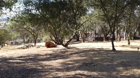 2989 Bow Dr, Copperopolis, CA 95228 photo 2