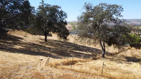 3626 Arrowhead, Copperopolis, CA 95228 photo 10