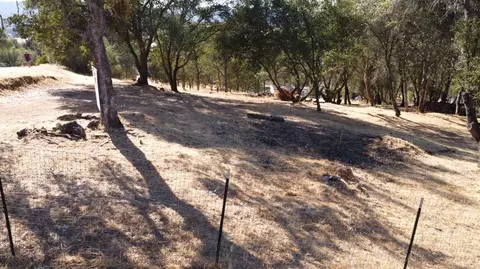 3626 Arrowhead, Copperopolis, CA 95228 photo 4