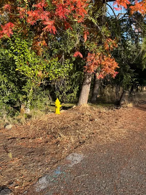4402 Bonnett Ct, Copperopolis, CA 95228 photo 7