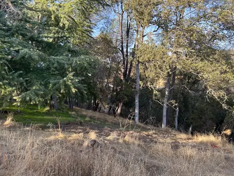 4402 Bonnett Ct, Copperopolis, CA 95228 photo 4