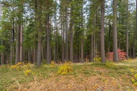 280 Bull Wacker Run, Arnold, CA 95223 photo 31