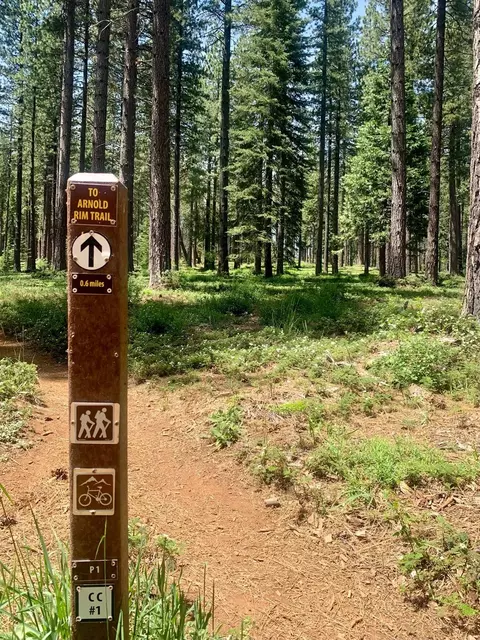 280 Bull Wacker Run, Arnold, CA 95223 photo 37