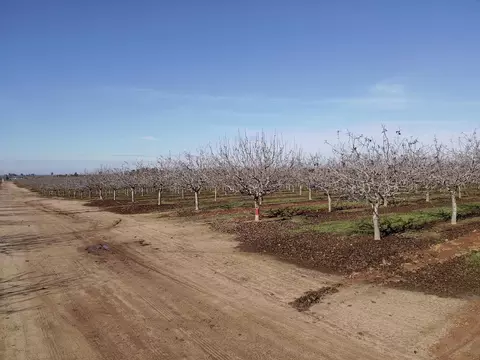 19599 Road 26, Madera, CA 93638 photo 6