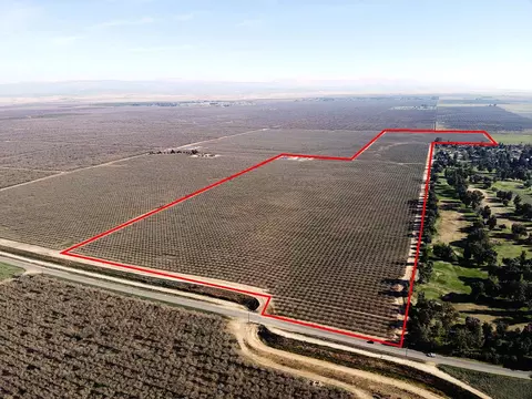 19599 Road 26, Madera, CA 93638 photo 2