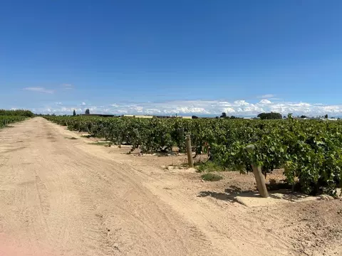 4666 N Sycamore Ave, Kerman, CA 93630 photo 1