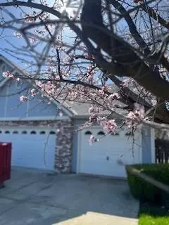 204 W Powers Ave, Clovis, CA 93619 photo 3