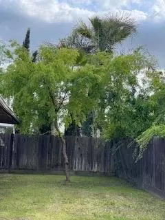2720 Sunnyside Ave, Clovis, CA 93611 photo 36