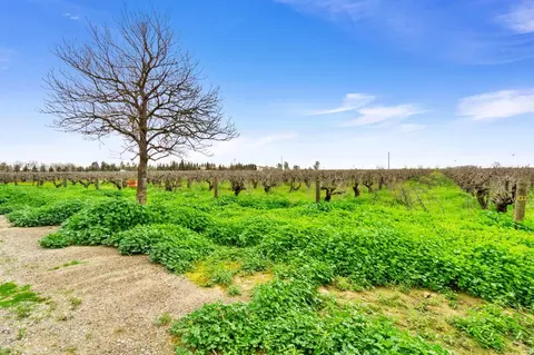 14260 Road 29, Madera, CA 93638 photo 16