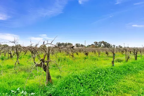 14260 Road 29, Madera, CA 93638 photo 13