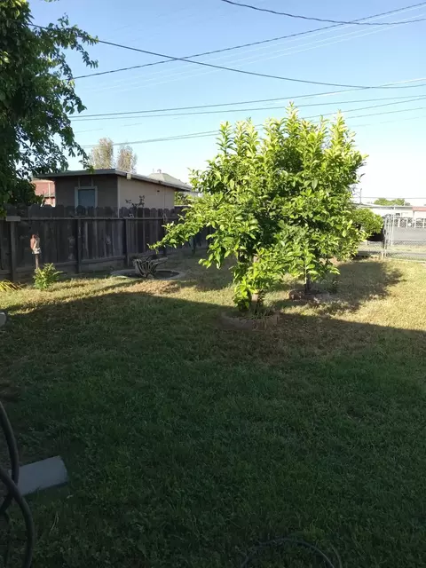 811 Sierra St, Madera, CA 93638 photo 7