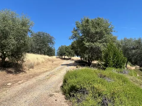 31040 Wyle Ranch Way, North Fork, CA 93643 photo 28