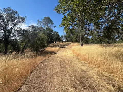 31040 Wyle Ranch Way, North Fork, CA 93643 photo 26