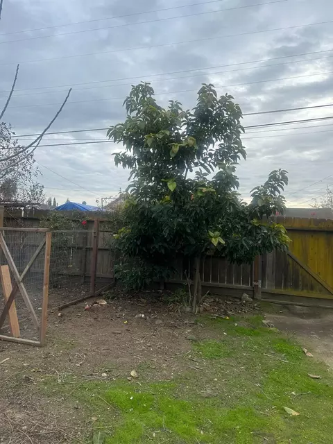 919 Leon Ave, Modesto, CA 95351 photo 29