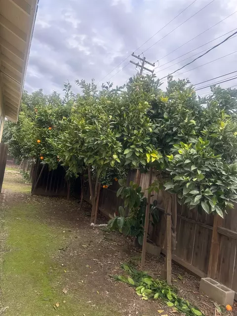 919 Leon Ave, Modesto, CA 95351 photo 32