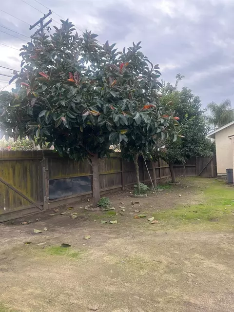 919 Leon Ave, Modesto, CA 95351 photo 31