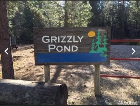 5055 Parkside Dr, Grizzly Flats, CA 95636